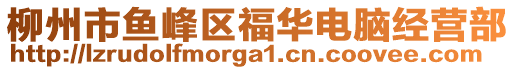 柳州市魚(yú)峰區(qū)福華電腦經(jīng)營(yíng)部