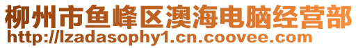 柳州市魚峰區(qū)澳海電腦經(jīng)營(yíng)部