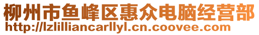 柳州市魚峰區(qū)惠眾電腦經(jīng)營部