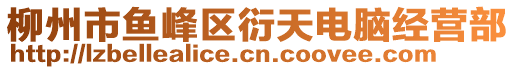 柳州市魚峰區(qū)衍天電腦經(jīng)營部