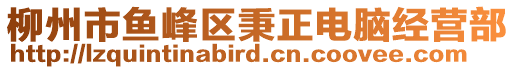 柳州市魚峰區(qū)秉正電腦經(jīng)營部