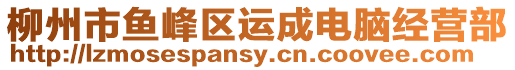 柳州市魚峰區(qū)運(yùn)成電腦經(jīng)營部