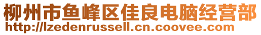 柳州市魚峰區(qū)佳良電腦經(jīng)營(yíng)部