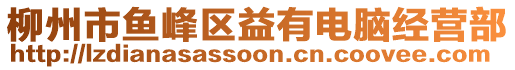 柳州市魚峰區(qū)益有電腦經(jīng)營部