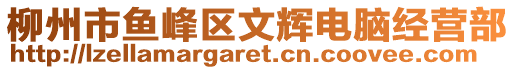 柳州市魚峰區(qū)文輝電腦經(jīng)營部