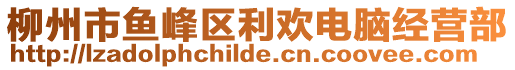 柳州市魚(yú)峰區(qū)利歡電腦經(jīng)營(yíng)部