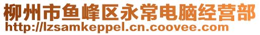 柳州市魚峰區(qū)永常電腦經(jīng)營部