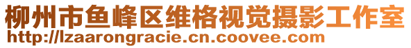 柳州市魚峰區(qū)維格視覺攝影工作室