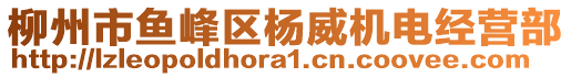 柳州市魚峰區(qū)楊威機電經(jīng)營部