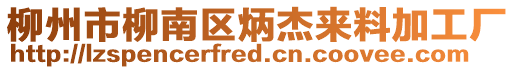 柳州市柳南區(qū)炳杰來料加工廠