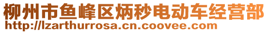 柳州市魚峰區(qū)炳秒電動(dòng)車經(jīng)營部