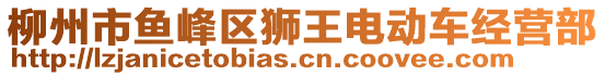 柳州市魚峰區(qū)獅王電動車經(jīng)營部