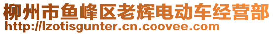 柳州市魚峰區(qū)老輝電動車經營部