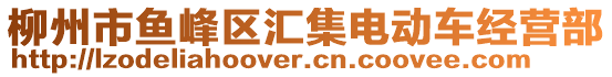 柳州市魚峰區匯集電動車經營部