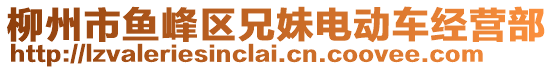 柳州市魚峰區(qū)兄妹電動車經(jīng)營部