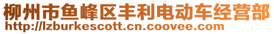 柳州市魚峰區豐利電動車經營部
