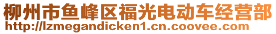 柳州市魚峰區(qū)福光電動(dòng)車經(jīng)營(yíng)部