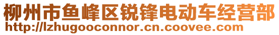 柳州市魚峰區(qū)銳鋒電動車經營部