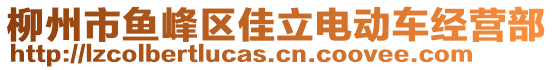 柳州市魚峰區(qū)佳立電動(dòng)車經(jīng)營(yíng)部