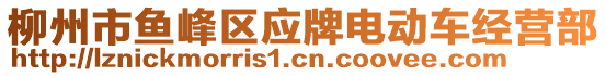 柳州市魚(yú)峰區(qū)應(yīng)牌電動(dòng)車經(jīng)營(yíng)部