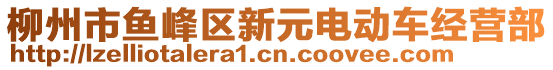 柳州市魚峰區(qū)新元電動車經營部