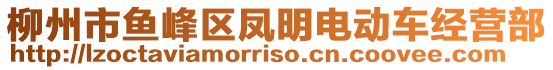 柳州市魚(yú)峰區(qū)鳳明電動(dòng)車(chē)經(jīng)營(yíng)部