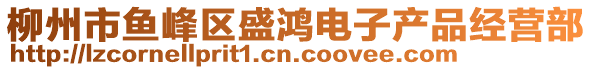 柳州市魚峰區(qū)盛鴻電子產(chǎn)品經(jīng)營(yíng)部