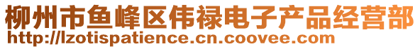 柳州市鱼峰区伟禄电子产品经营部