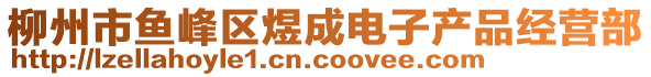 柳州市魚峰區(qū)煜成電子產(chǎn)品經(jīng)營(yíng)部