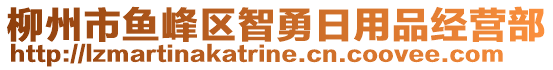 柳州市魚峰區(qū)智勇日用品經(jīng)營(yíng)部