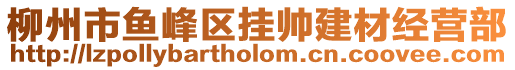 柳州市魚(yú)峰區(qū)掛帥建材經(jīng)營(yíng)部