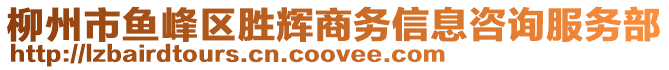 柳州市魚(yú)峰區(qū)勝輝商務(wù)信息咨詢(xún)服務(wù)部