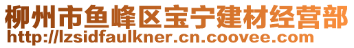 柳州市魚(yú)峰區(qū)寶寧建材經(jīng)營(yíng)部