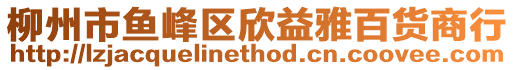 柳州市魚峰區欣益雅百貨商行