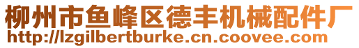 柳州市魚峰區德豐機械配件廠