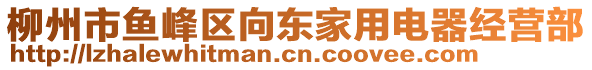 柳州市魚峰區(qū)向東家用電器經(jīng)營部