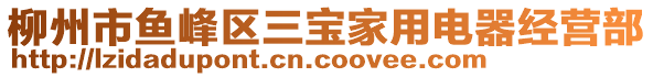 柳州市魚(yú)峰區(qū)三寶家用電器經(jīng)營(yíng)部