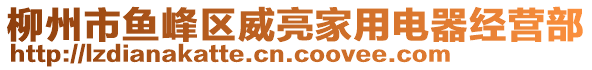 柳州市鱼峰区威亮家用电器经营部