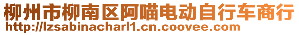 柳州市柳南区阿喵电动自行车商行