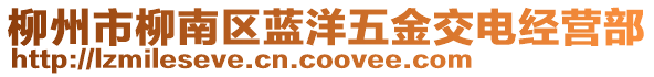 柳州市柳南區(qū)藍(lán)洋五金交電經(jīng)營(yíng)部