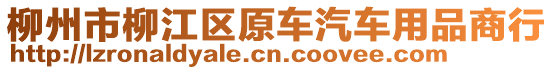 柳州市柳江区原车汽车用品商行