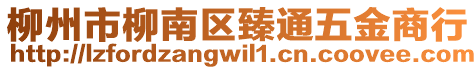 柳州市柳南區(qū)臻通五金商行