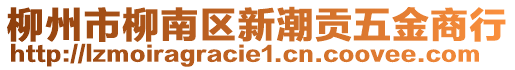 柳州市柳南區(qū)新潮貢五金商行