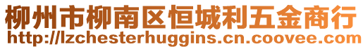 柳州市柳南區(qū)恒城利五金商行