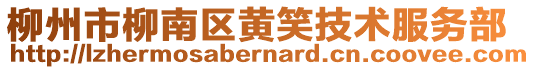 柳州市柳南区黄笑技术服务部