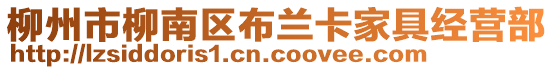 柳州市柳南區(qū)布蘭卡家具經(jīng)營(yíng)部