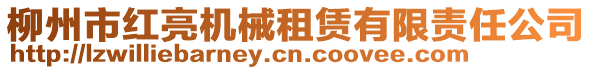 柳州市紅亮機(jī)械租賃有限責(zé)任公司