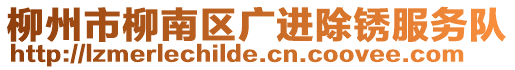 柳州市柳南区广进除锈服务队