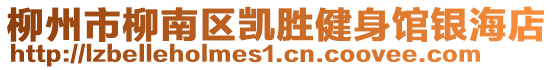 柳州市柳南區(qū)凱勝健身館銀海店