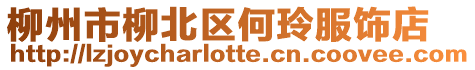 柳州市柳北區何玲服飾店